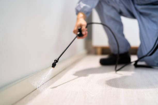 Cockroach Species Identification in Hayti